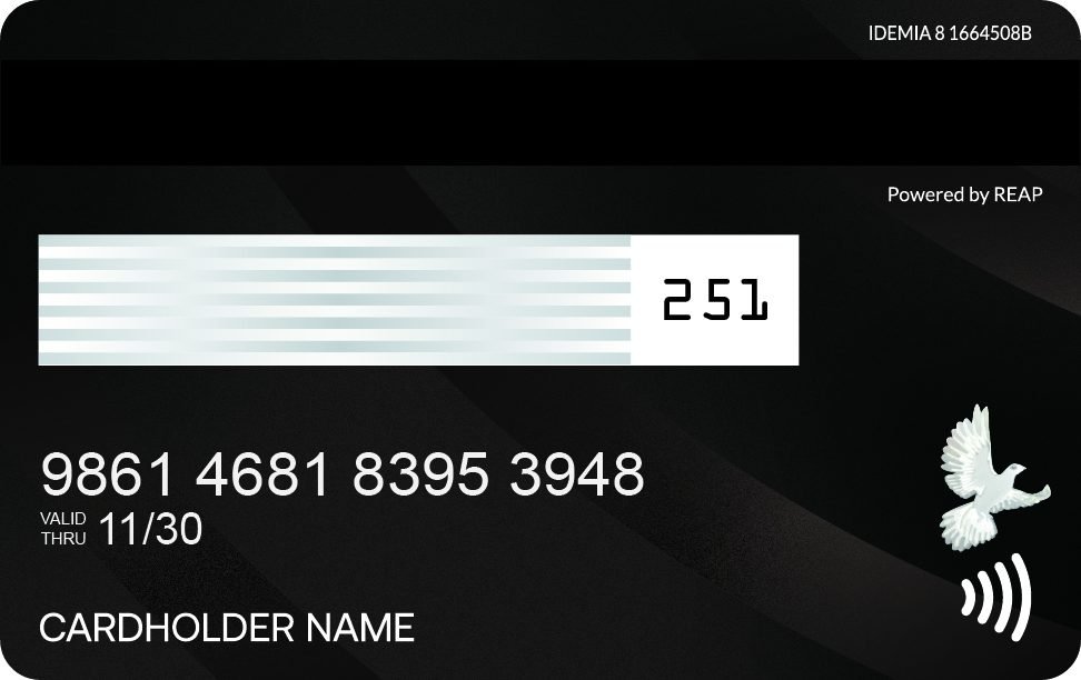 Odix Pay: Card back with signature panel and Visa dove