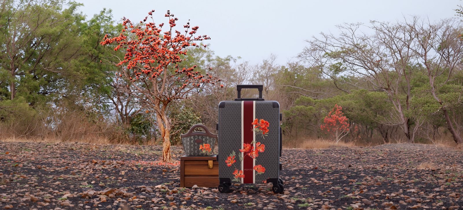 Vonto: Web banner: the Flame Tree luggage in the field, under the blooming tree